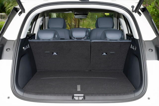 Un restylage comme une nouvelle génération ? Le Sea Lion 05 DM-i 2026 arrive, avec une autonomie combinée de plus de 2000 km - illustration