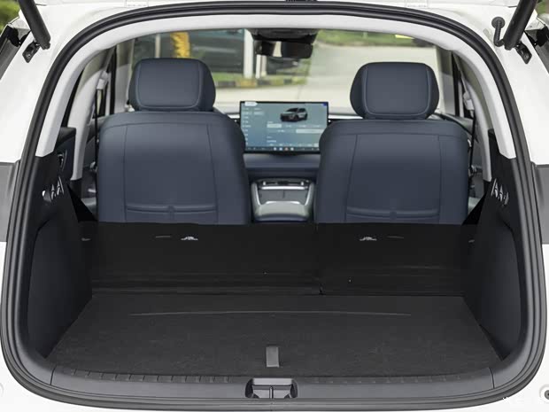 Sea Lion 05 EV Image