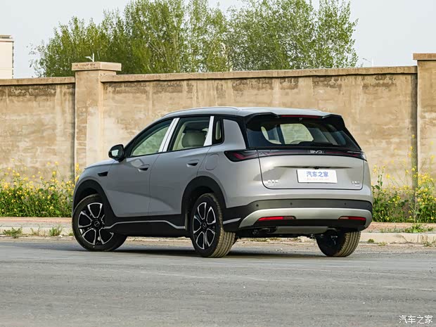 Sea Lion 05 DM-i Image