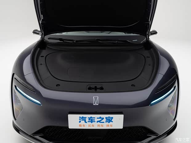 Полностью электрическая версия 图片