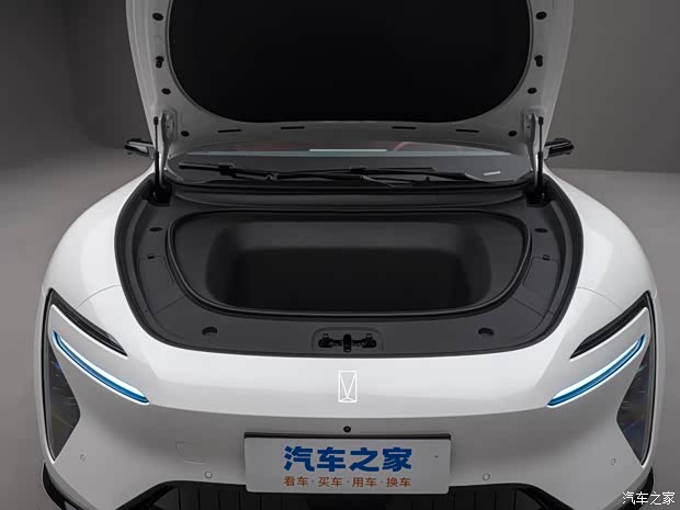 Полностью электрическая версия 图片