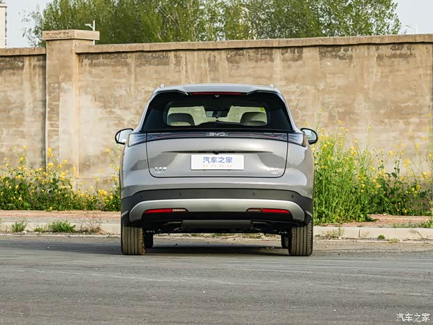 Sea Lion 05 DM-i Image