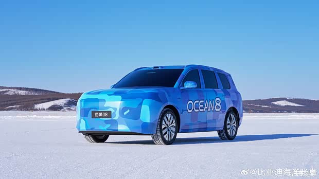 Передняя часть BYD Sea Lion 08